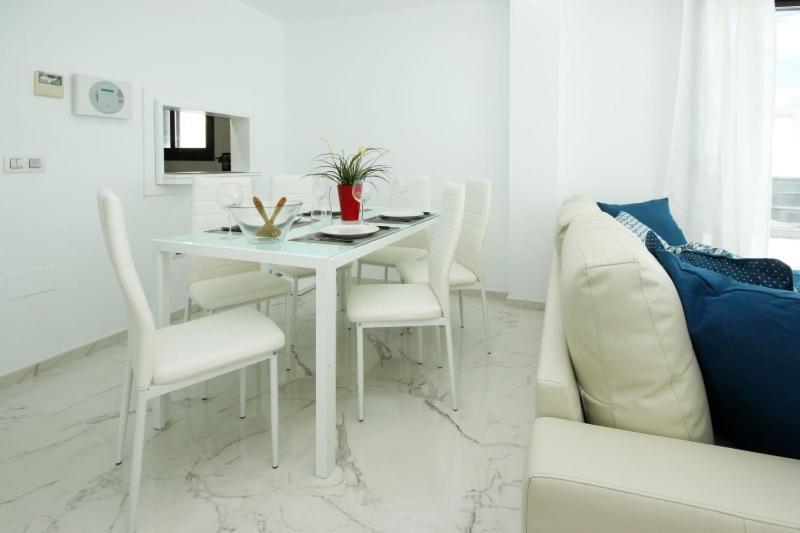 Apartment Del Mar Luxury Penthouse With Access Casares