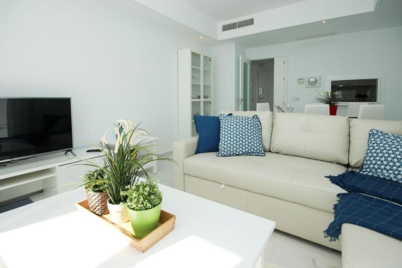 Apartment Del Mar Luxury Penthouse With Access