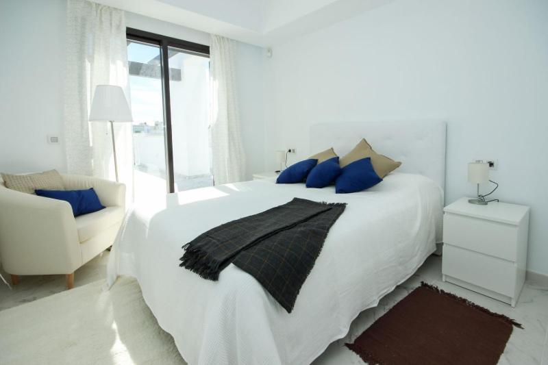 Apartment Del Mar Luxury Penthouse With Access Casares